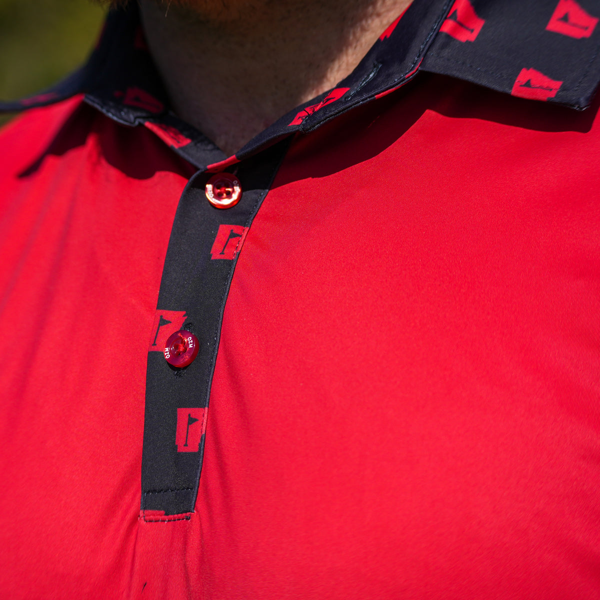 Home Course Series - Arkansas - Red & Black Collar