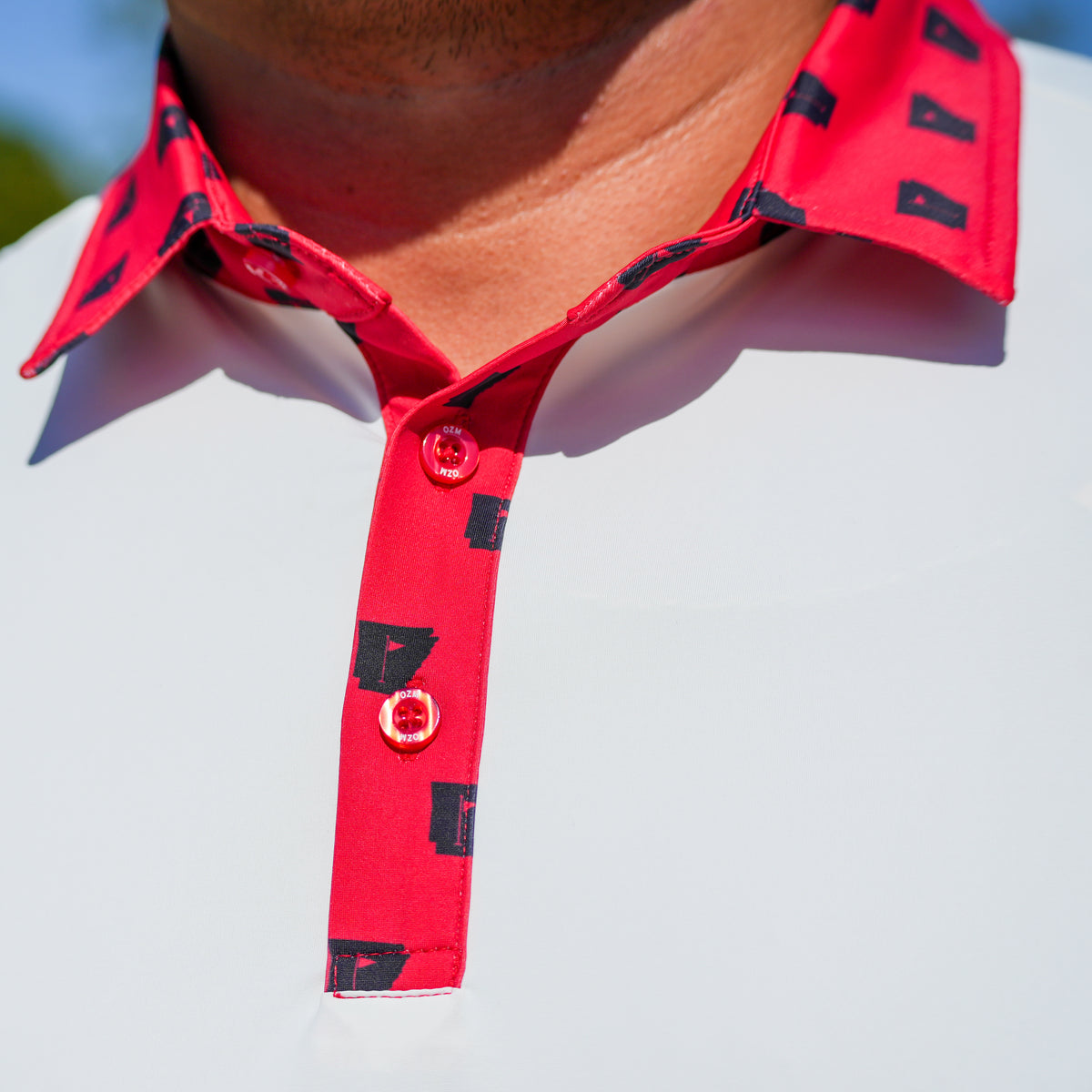Home Course Series - Arkansas - White & Red Collar